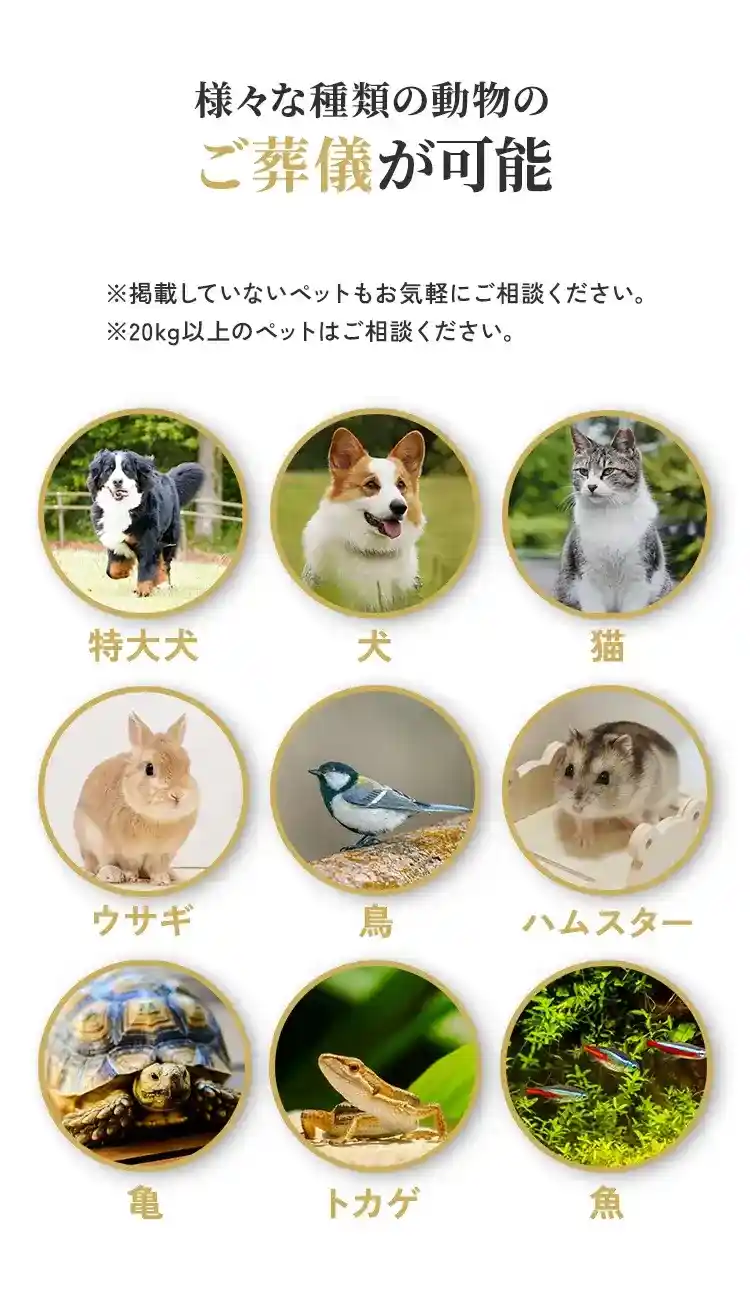 犬、猫、特大犬、ウサギ、鳥、ハムスター、亀、トカゲ、魚などの様々な動物に対応