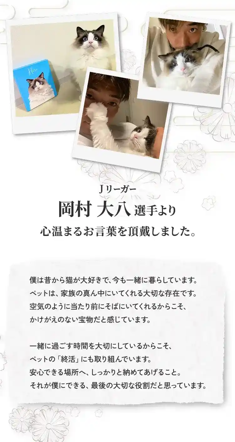 札幌市にあるペット葬儀、火葬、霊園の教願寺、昔からペットの猫を飼っている岡村大八選手によるお言葉